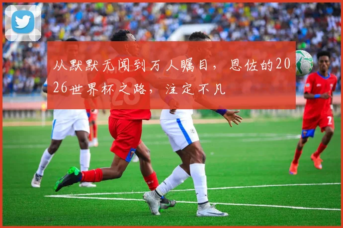 从默默无闻到万人瞩目,恩佐的2026世界杯之路,注定不凡