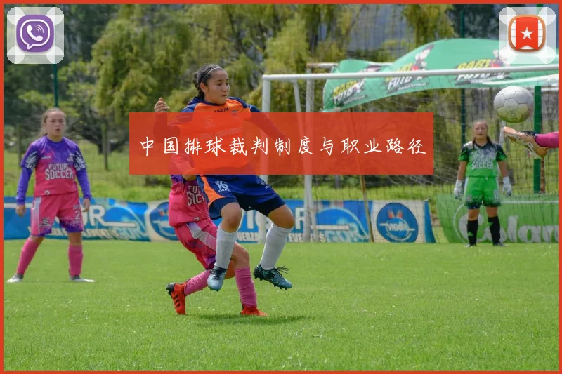 中国排球裁判制度与职业路径