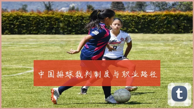 中国排球裁判制度与职业路径
